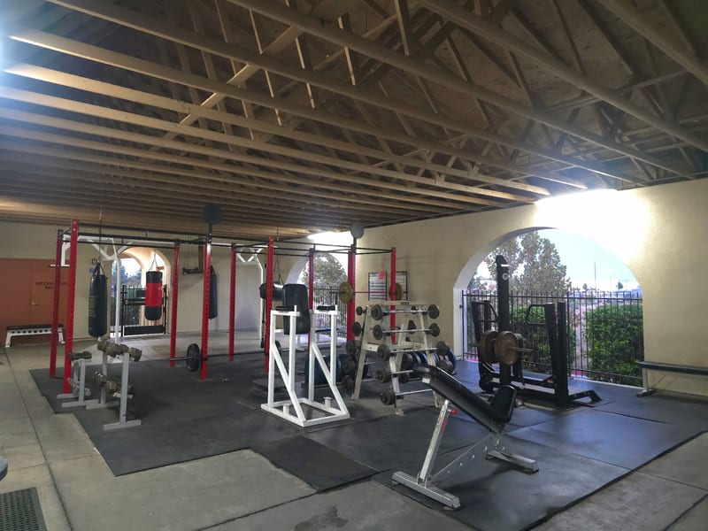 Modern gym with weightlifting equipment and rig